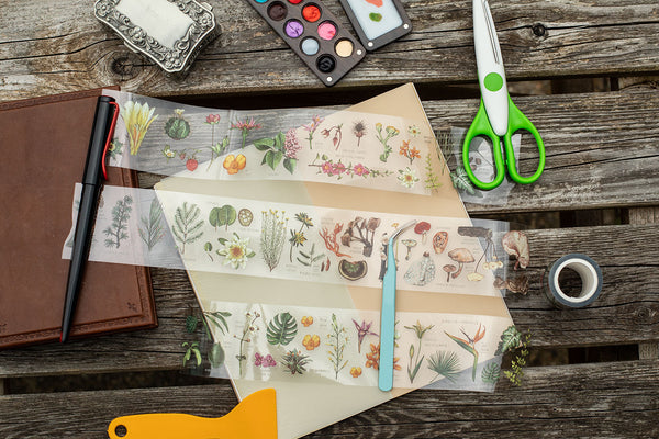 PET Tapes - herbarium 2021